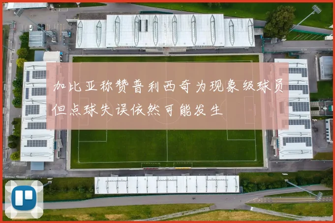 加比亚称赞普利西奇为现象级球员但点球失误依然可能发生