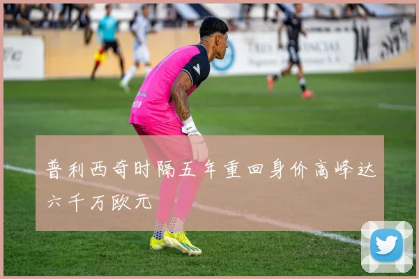 普利西奇时隔五年重回身价高峰达六千万欧元