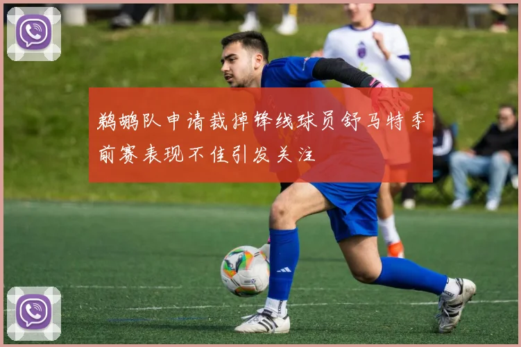鹈鹕队申请裁掉锋线球员舒马特季前赛表现不佳引发关注