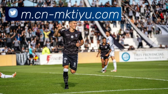 MK体育平台生态图